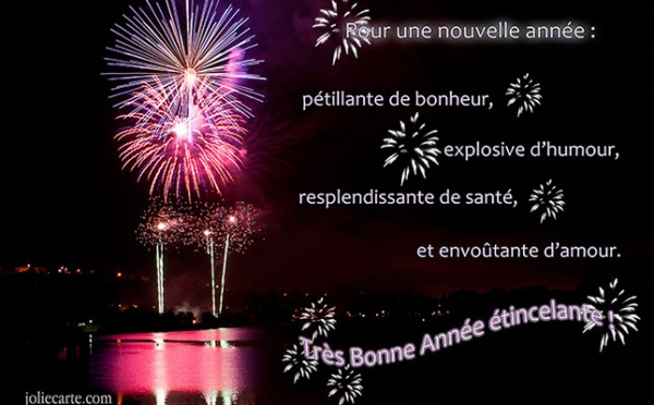 meilleurs voeux