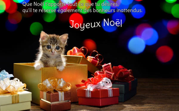 Article n°1738
