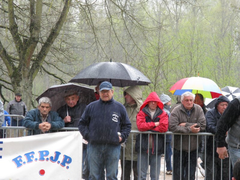 IMG_0039.JPG IMG_0039.JPG