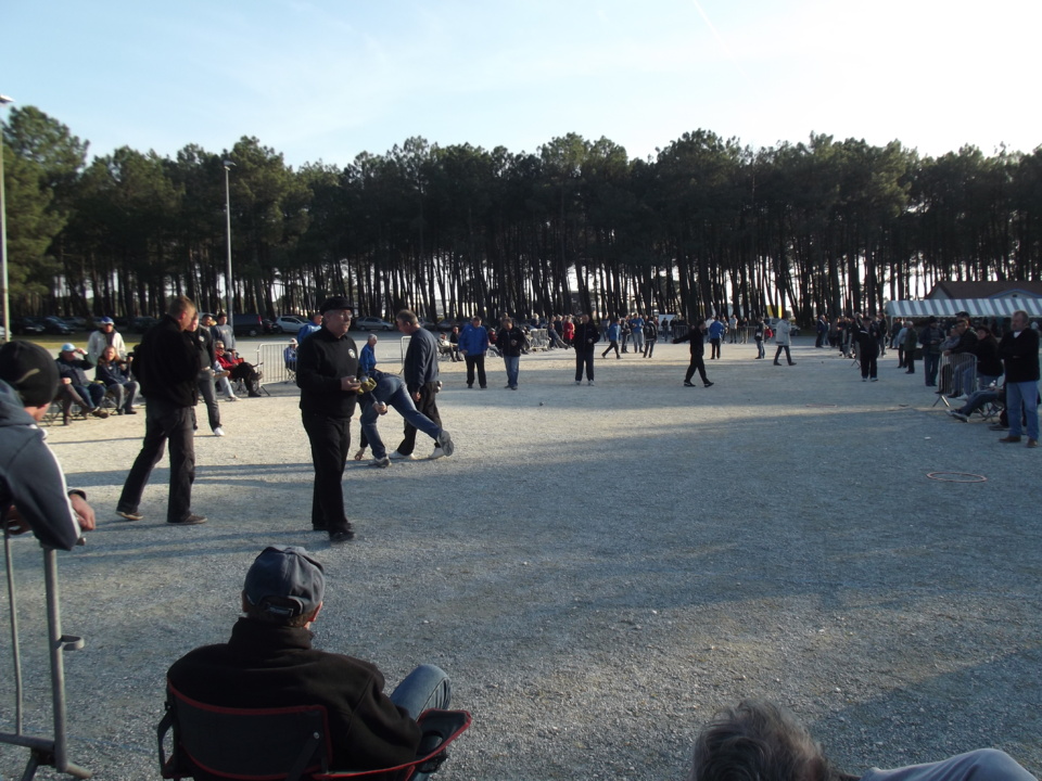 Parties qualificatives. Parties qualificatives.