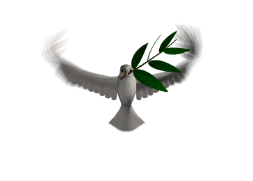 Bonne fêtes à tous! Bonne fêtes à tous!