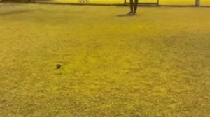 PETITE  VIDEO DE  Lorenzo  MELO