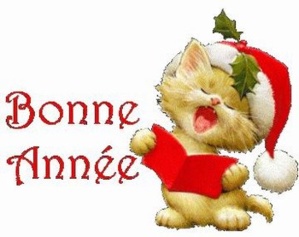 BONNE et HEUREUSE ANNEE 2014 BONNE et HEUREUSE ANNEE 2014