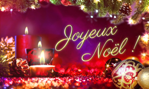BONNE  FÊTES  DE  FIN  D'ANNEE