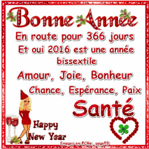 Bonne Année 2016 Bonne Année 2016