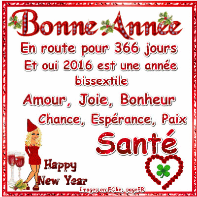 Bonne Année 2016