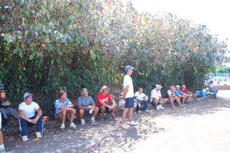 Venez nombreuses et nombreux Venez nombreuses et nombreux