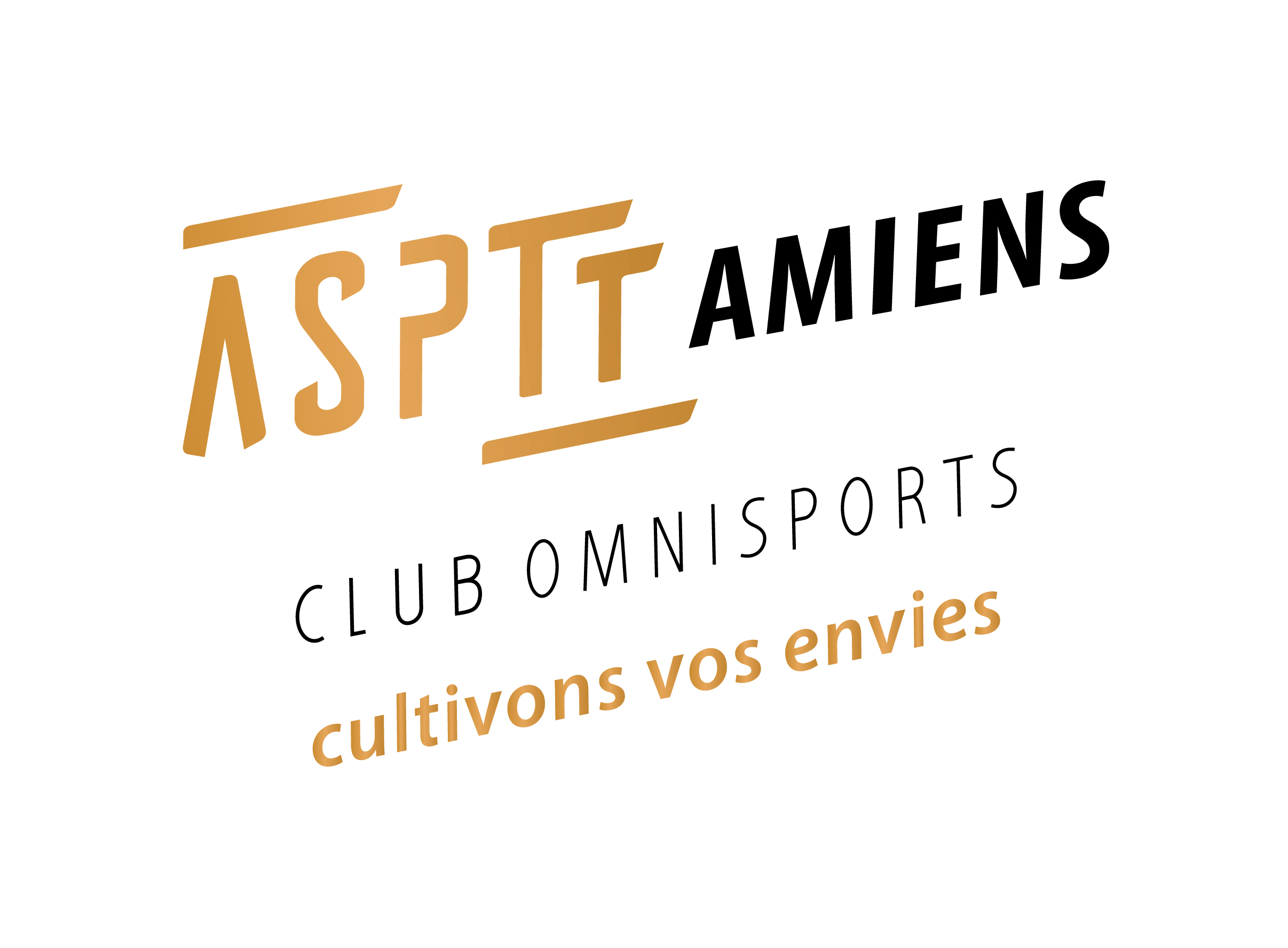 LES EQUIPES