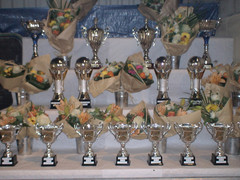 12ème National Féminin doublette de BOURGES 12ème National Féminin doublette de BOURGES