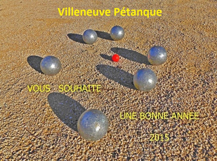 Voeux 2015 Voeux 2015