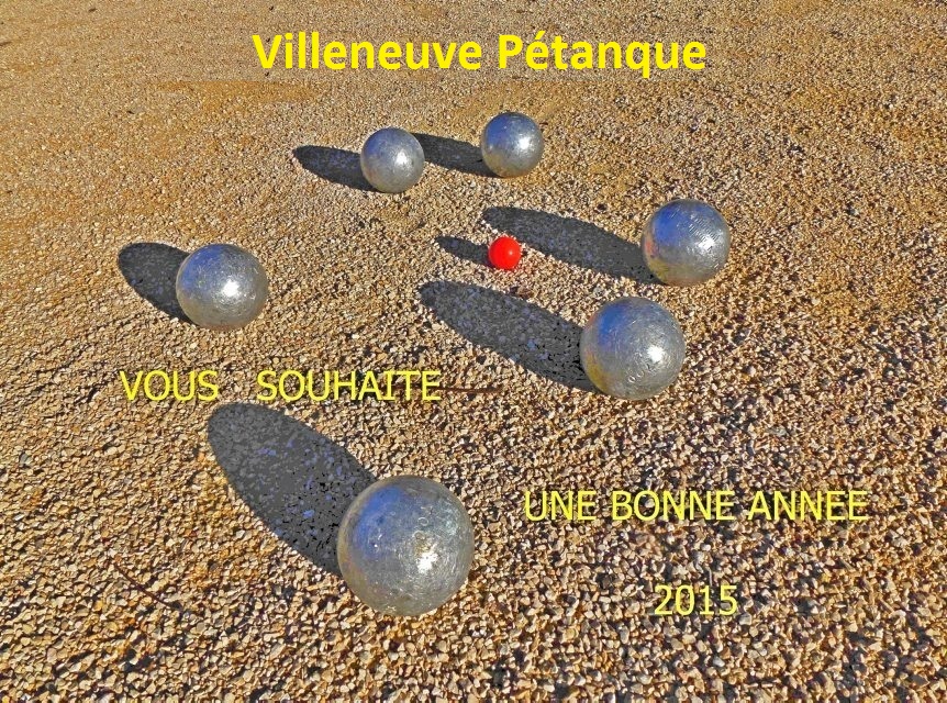 Voeux 2015 Voeux 2015