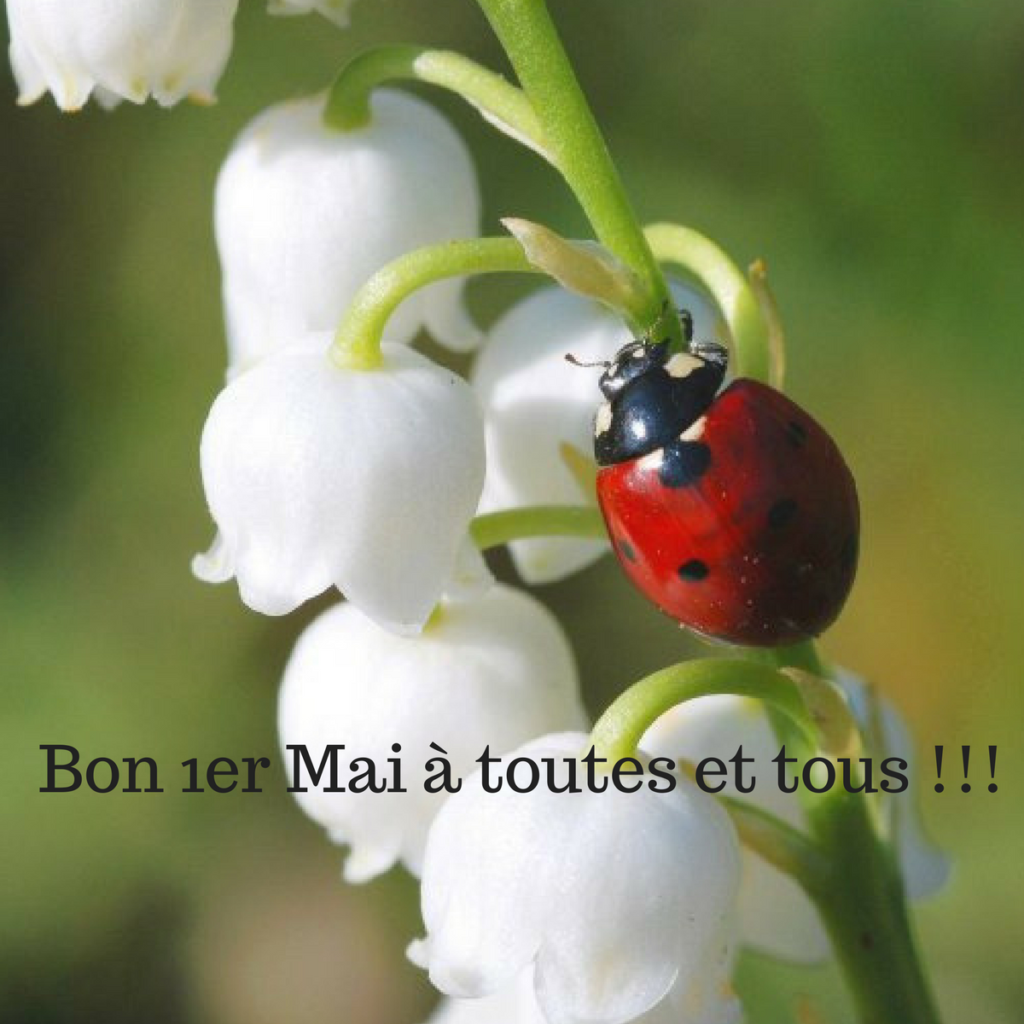 1er mai 2023