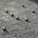 DSC07077 DSC07077
