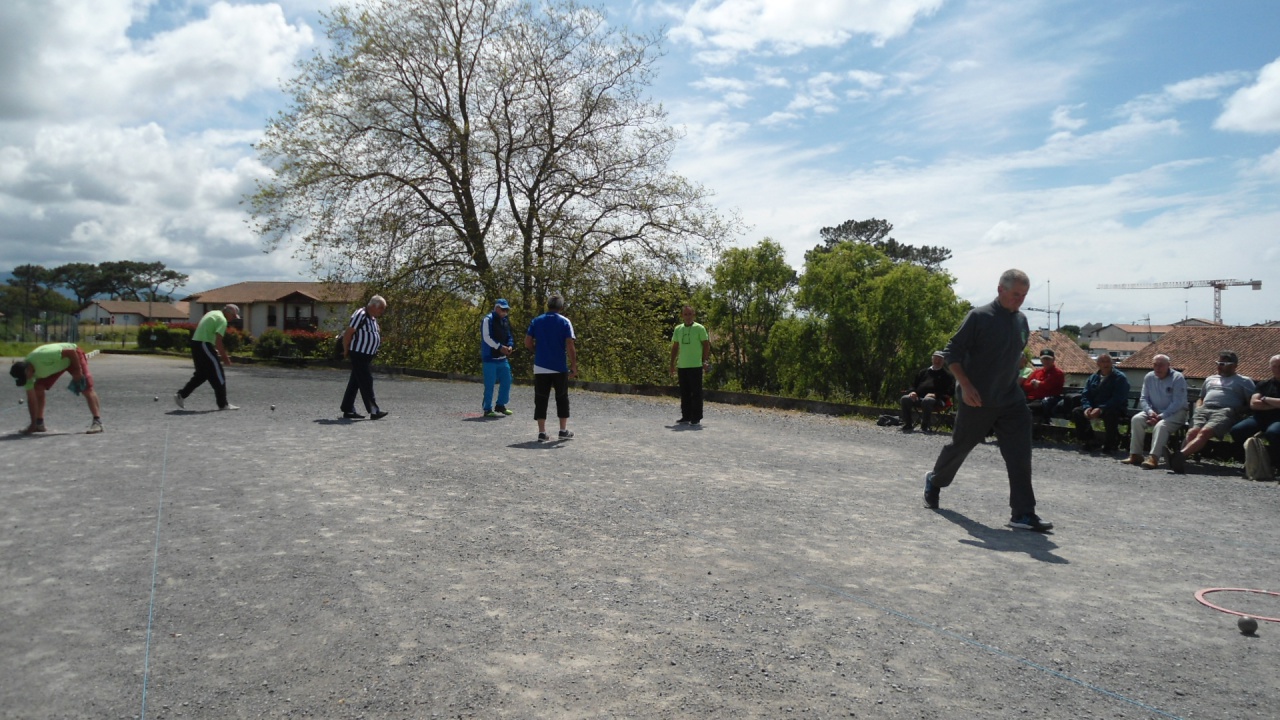 DSC09223 DSC09223