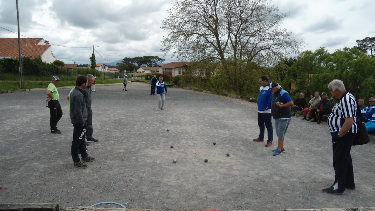DSC09230 DSC09230