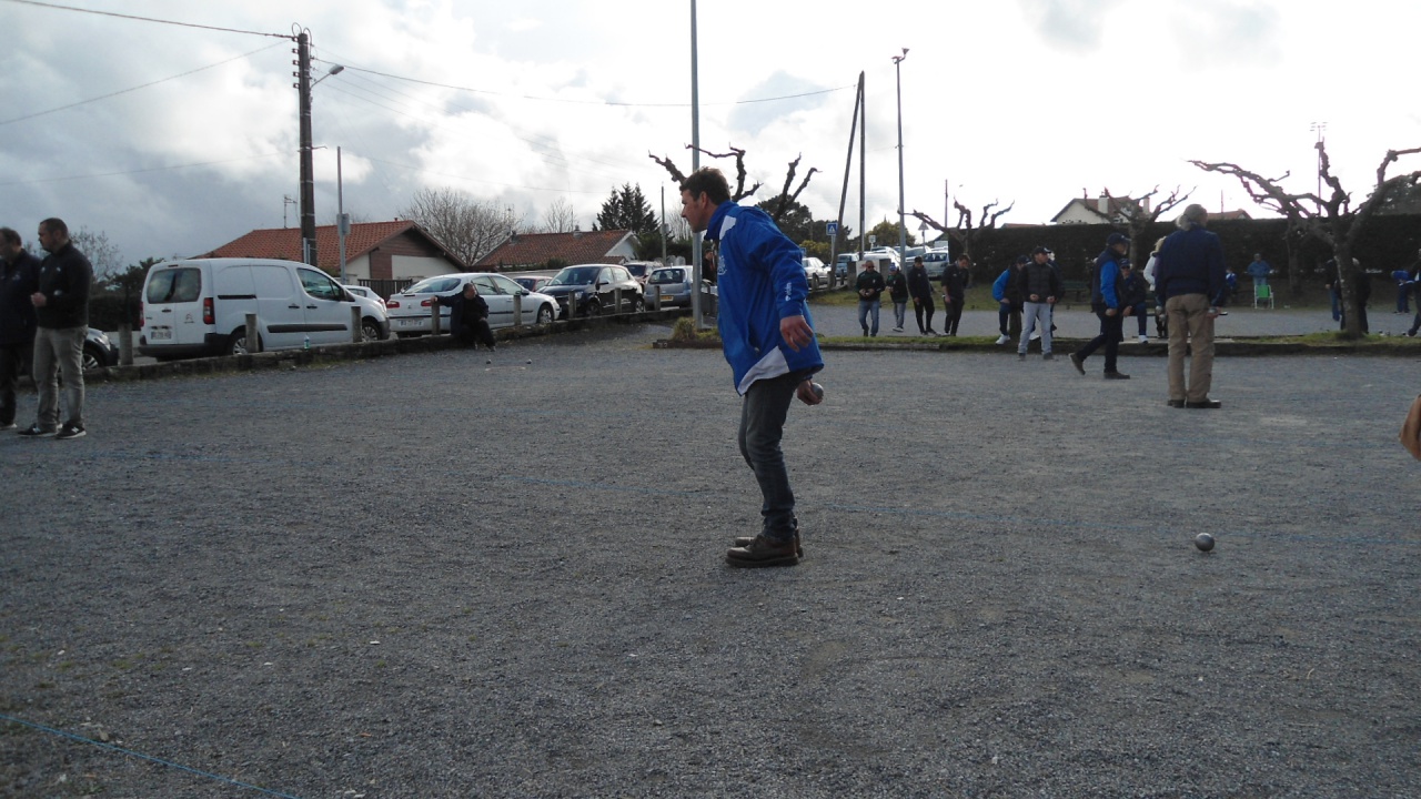 DSC08233 DSC08233