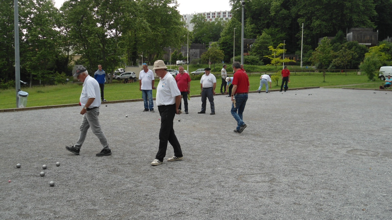 DSC08769 DSC08769