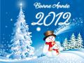 Meilleurs Voeux 2012