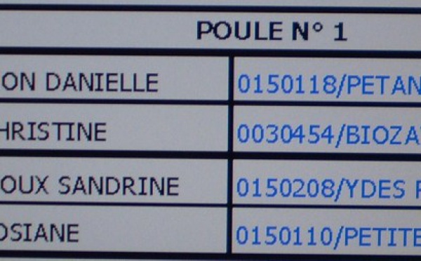 Championnat de Ligue doublette mixte.