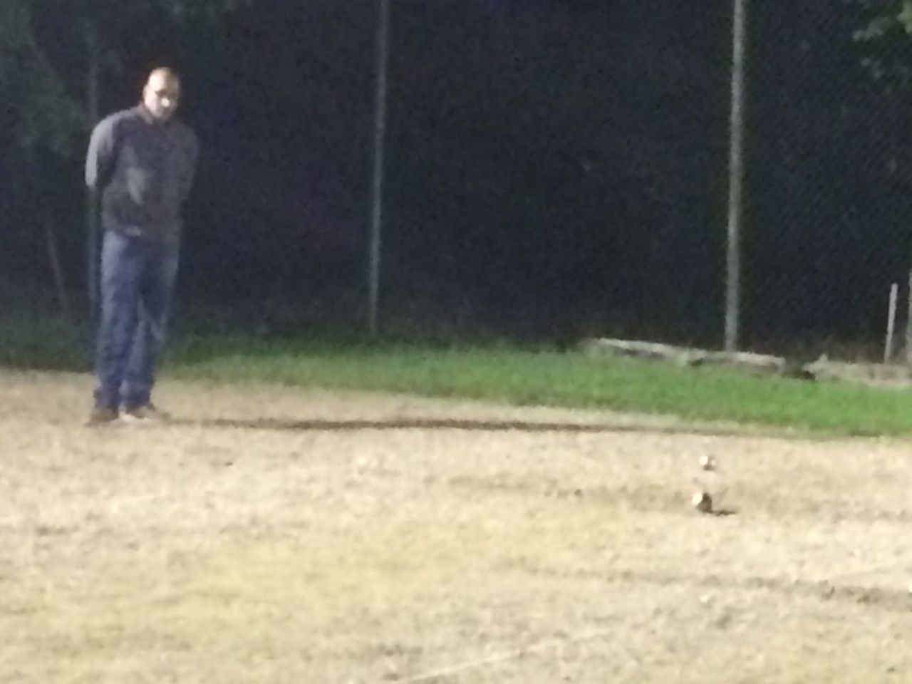 coupe 2014 coupe 2014