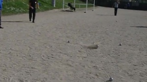 Championnat Tête à Tête :