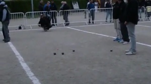 Journée Championnat du 12 &amp; 13 Avril 2014.