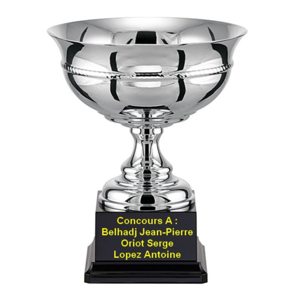 Concours Triplette Vétérans De N.P.S Du 28/05/2015 Concours Triplette Vétérans De N.P.S Du 28/05/2015