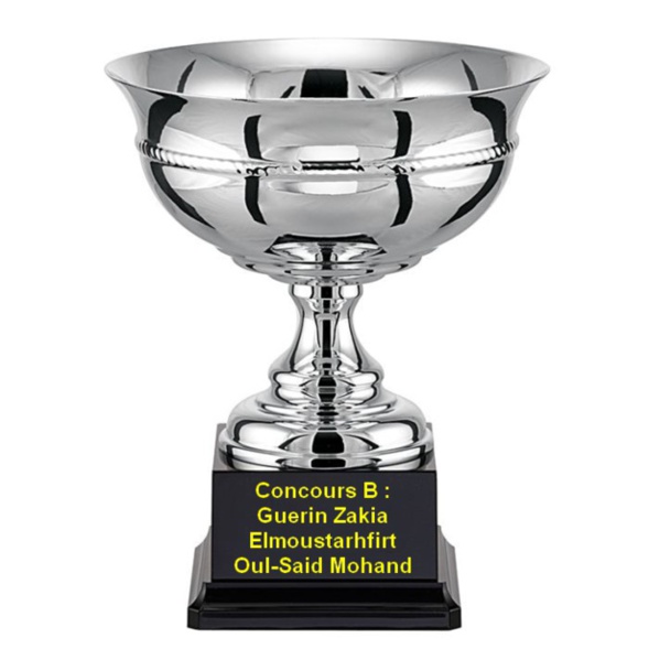 Concours Triplette Vétérans De N.P.S Du 28/05/2015 Concours Triplette Vétérans De N.P.S Du 28/05/2015