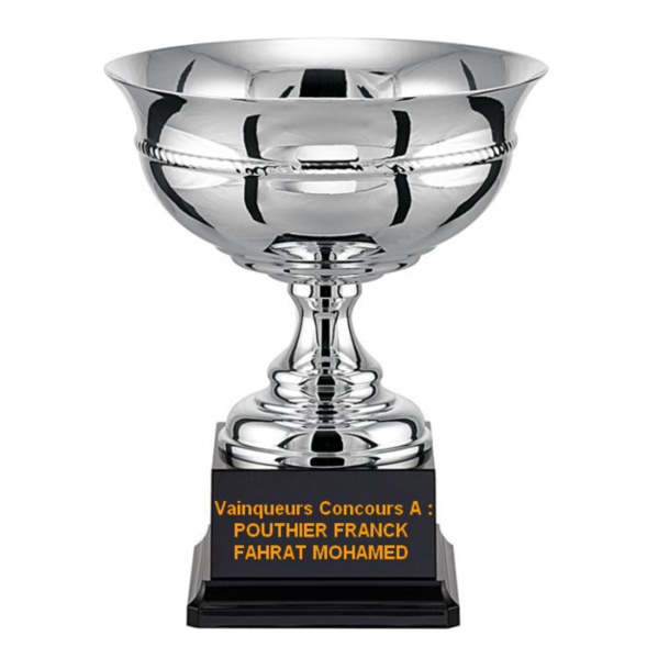 Concours Doublette Promotion Blanc Mesnil Sport 31.05.2015 Concours Doublette Promotion Blanc Mesnil Sport 31.05.2015