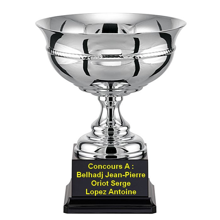 Concours Triplette Vétérans De N.P.S Du 28/05/2015 Concours Triplette Vétérans De N.P.S Du 28/05/2015