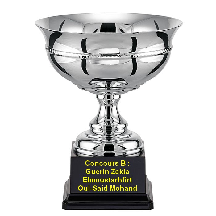 Concours Triplette Vétérans De N.P.S Du 28/05/2015 Concours Triplette Vétérans De N.P.S Du 28/05/2015