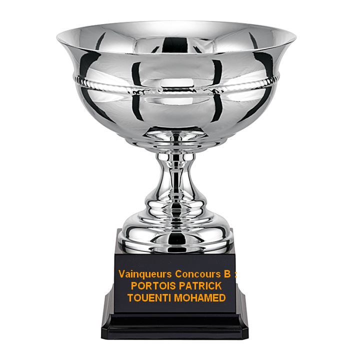 Concours Doublette Promotion Blanc Mesnil Sport 31.05.2015 Concours Doublette Promotion Blanc Mesnil Sport 31.05.2015