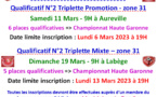 Qualificatifs N°2 T Promotion + T Mixte + DSF + TTSM