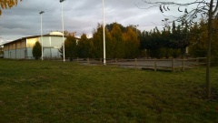 Panorama Panorama