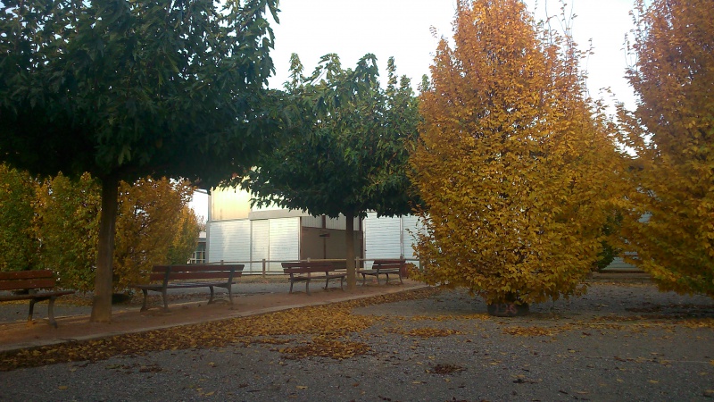 Jeux In et Out. Jeux In et Out.