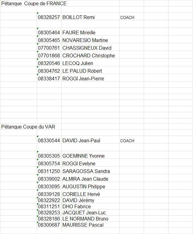 EQUIPES DE LA BFL en 2013