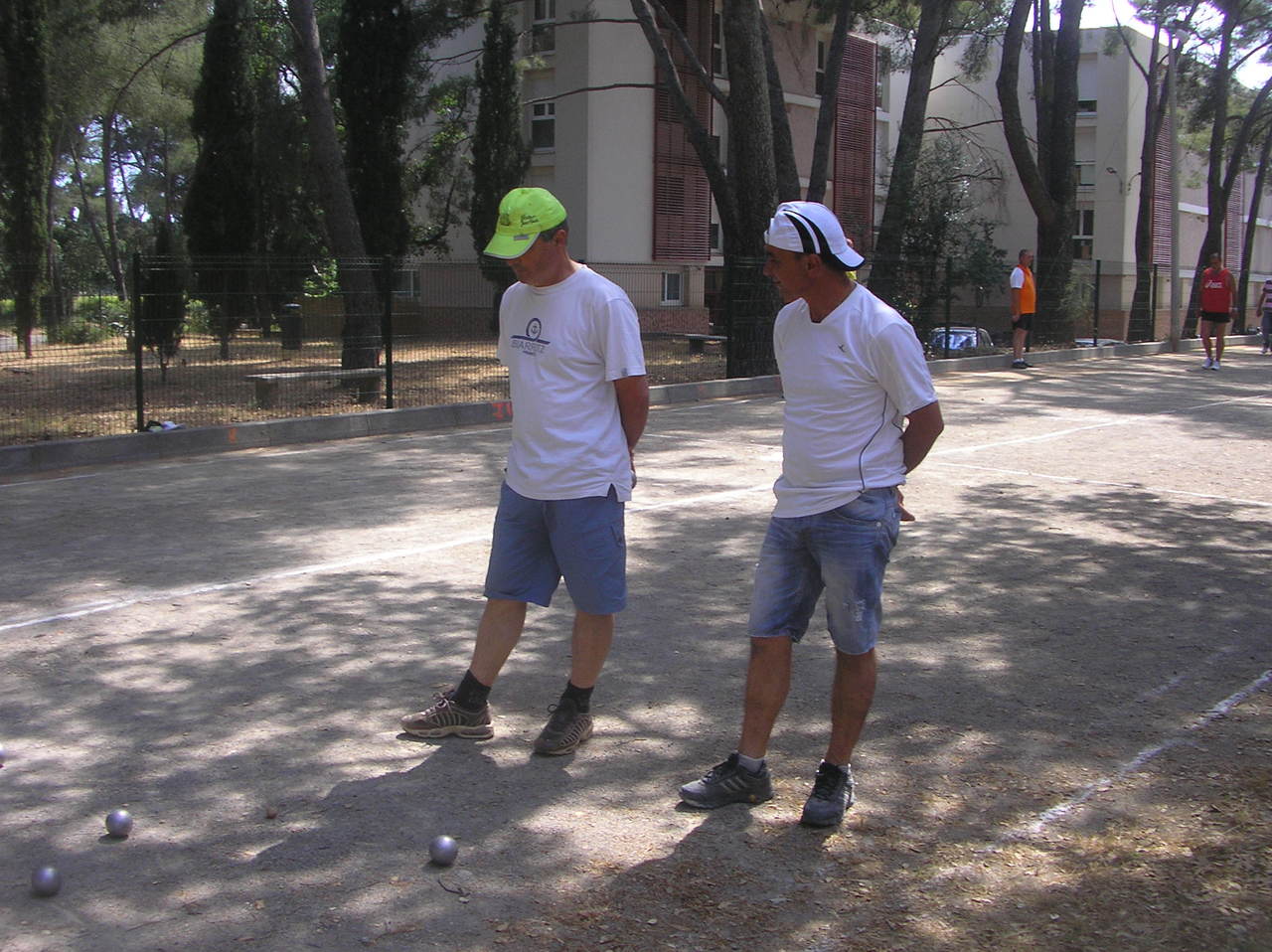 P6121029.JPG P6121029.JPG