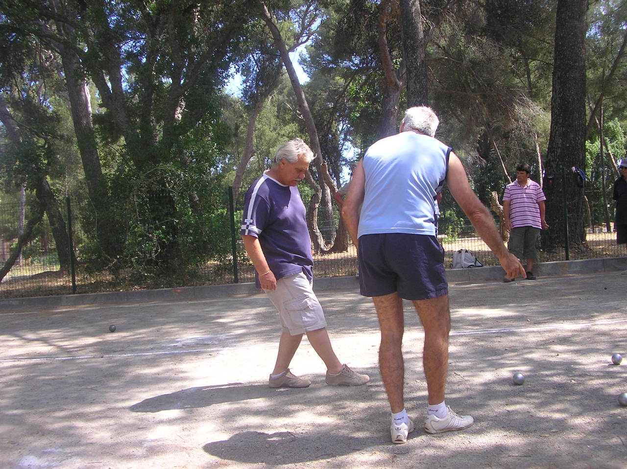 P6121031.JPG P6121031.JPG