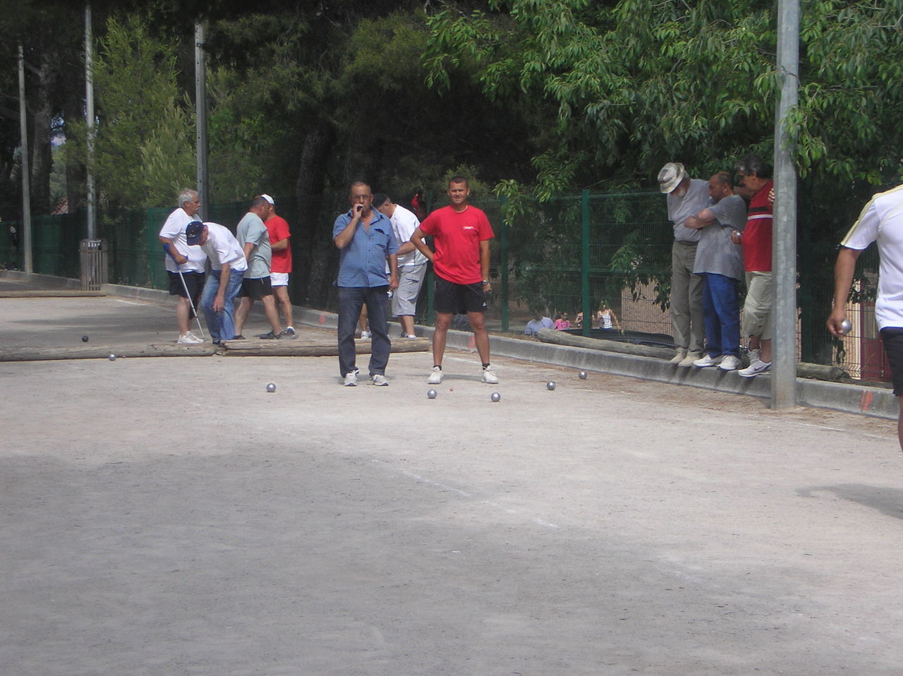 P6121043.JPG P6121043.JPG