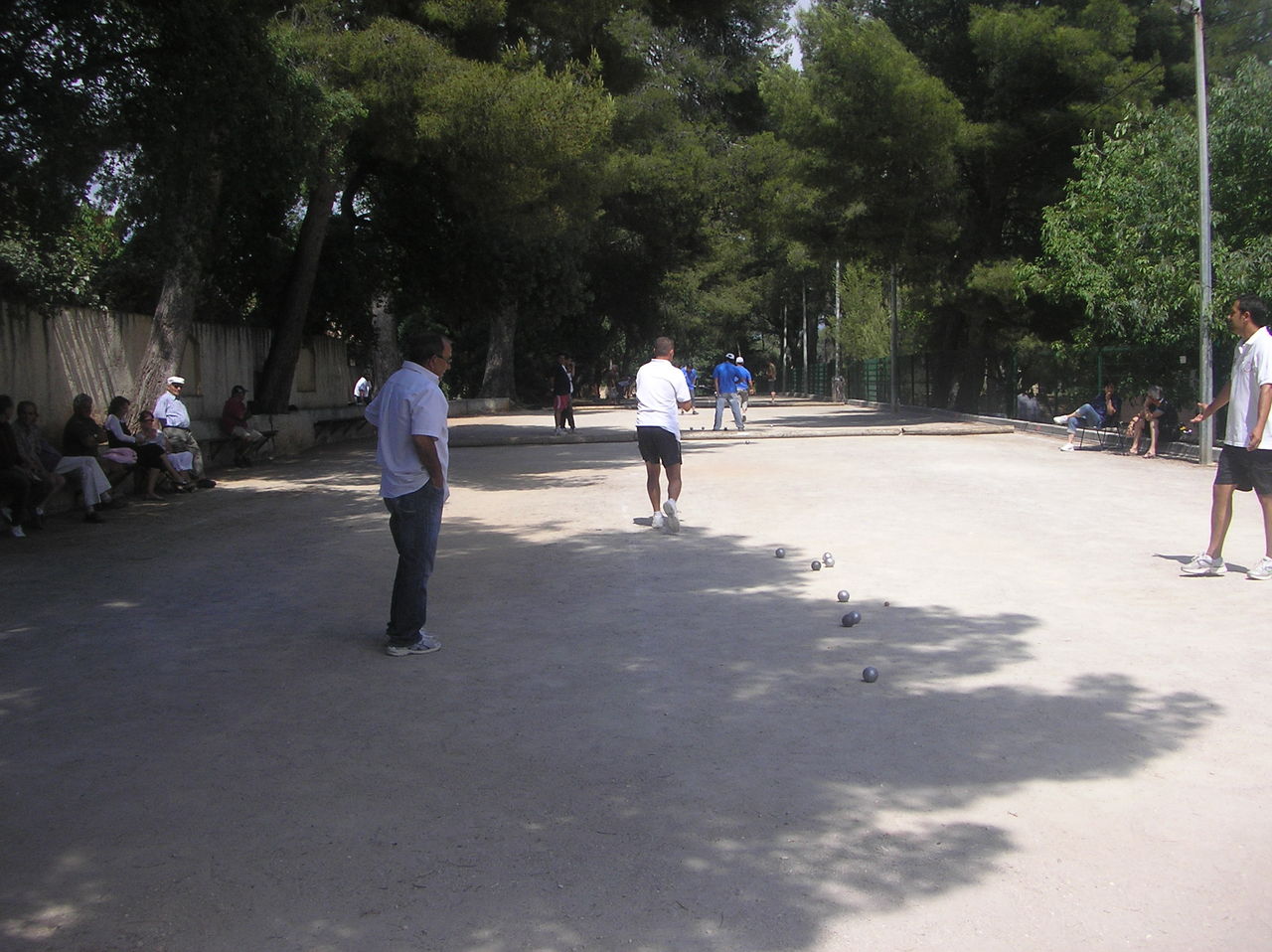 P6131064.JPG P6131064.JPG