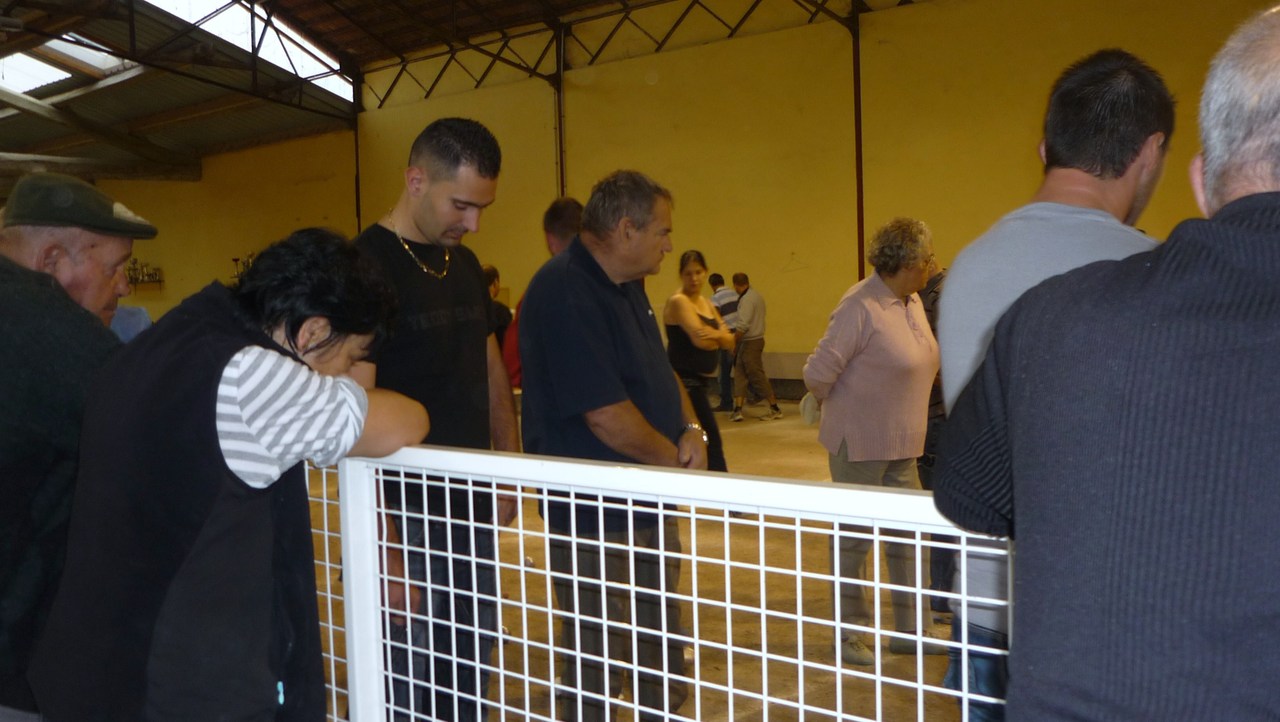 P1030386.JPG P1030386.JPG