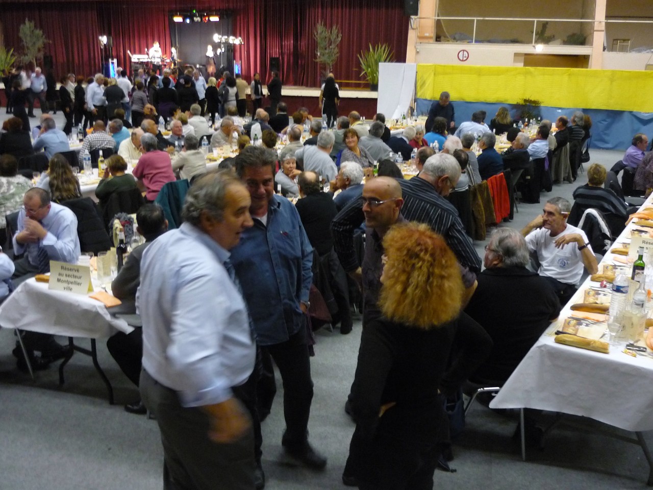 P1030917.JPG P1030917.JPG