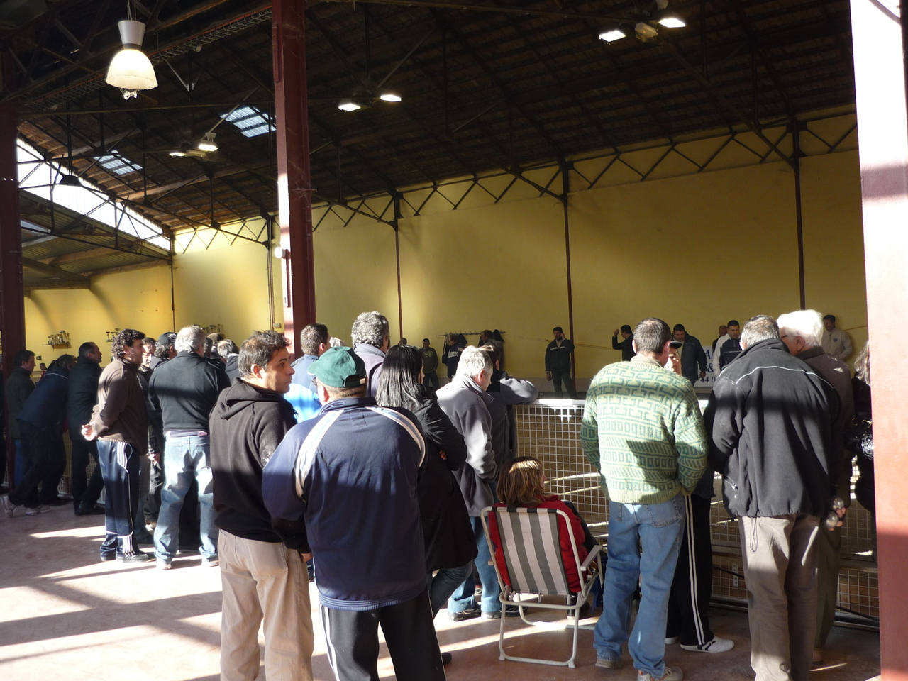 P1010615.JPG P1010615.JPG