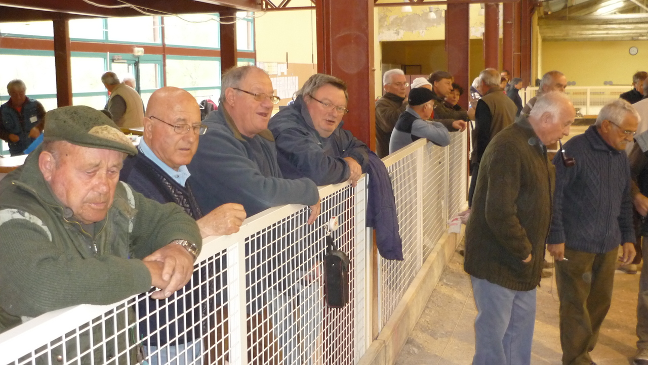 P1020230.JPG P1020230.JPG