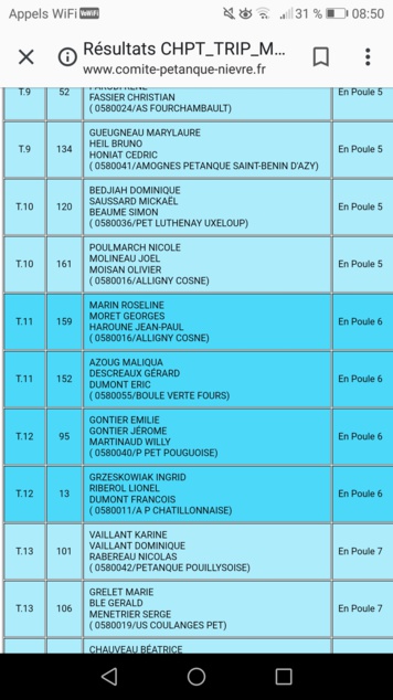 Poules triplettes mixtes La Boule Verte Poules triplettes mixtes La Boule Verte