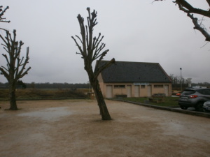 PRESENTATION DE NOTRE CLUB PRESENTATION DE NOTRE CLUB