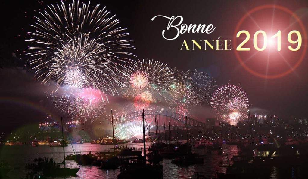 BONNE ANNEE 2019 BONNE ANNEE 2019