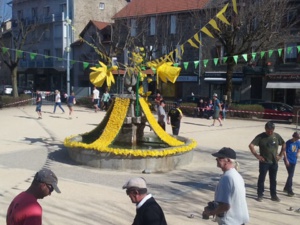 FÊTE DES JONQUILLES 2018 FÊTE DES JONQUILLES 2018