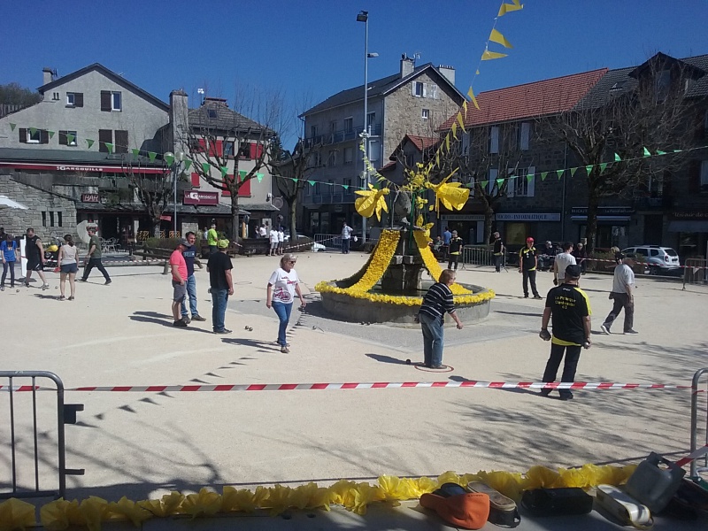 Concours Les Jonquilles 2018 Concours Les Jonquilles 2018