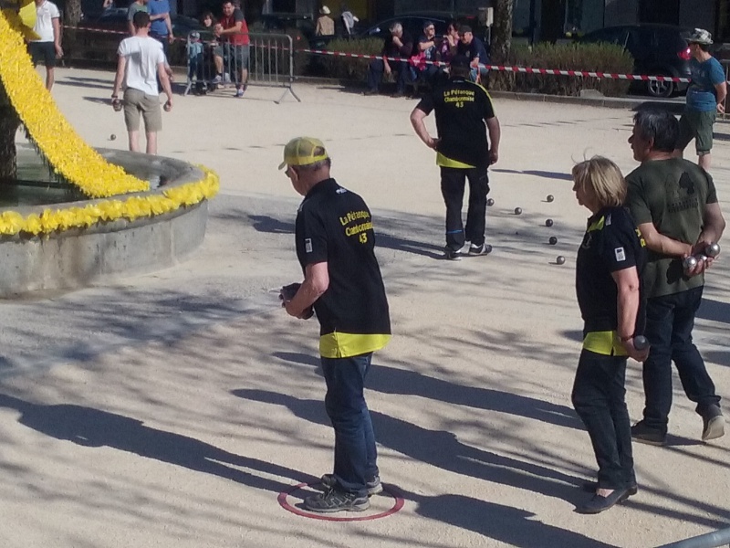 Concours Les Jonquilles 2018 Concours Les Jonquilles 2018